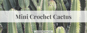 Mini Crochet Cactus