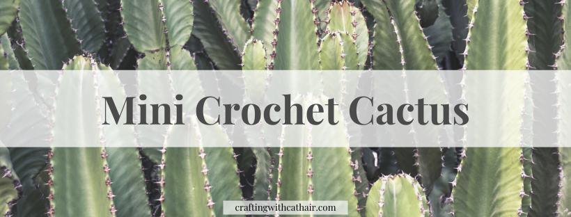 Mini Crochet Cactus