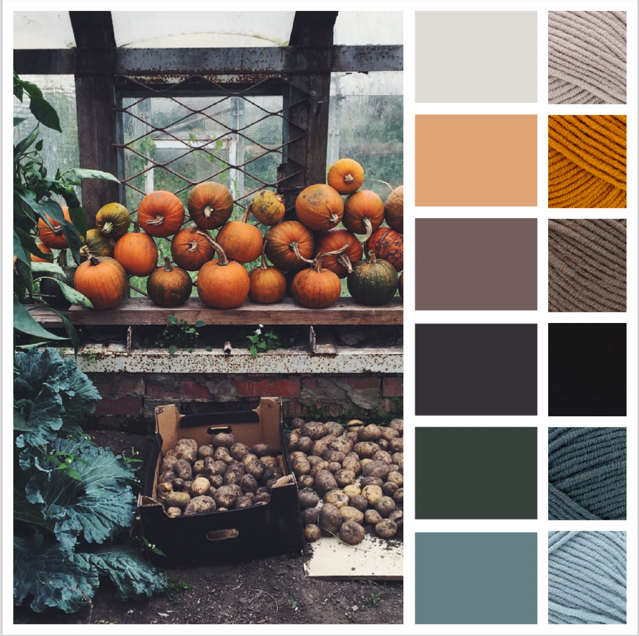 Yarn Palette | Harvest Hues