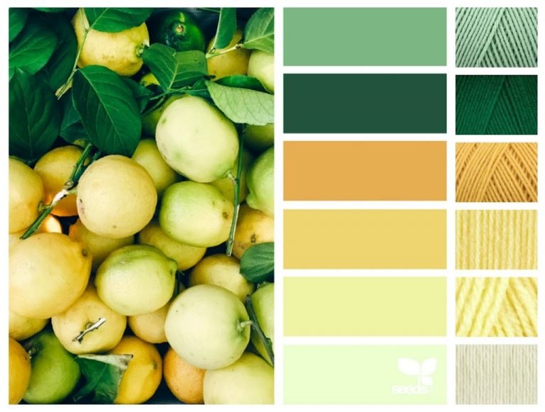 Yarn Palette | Fresh Hues